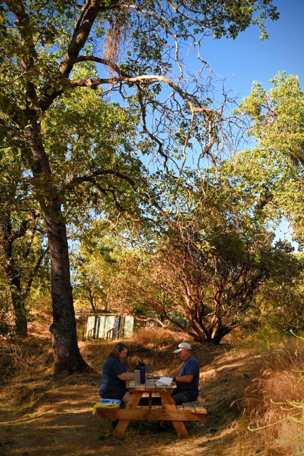 Campground At Sequoia Mountain Farms - Bring Your Own Tent Or Rv - No Bedrooms Or Beds Provided Miramonte Экстерьер фото